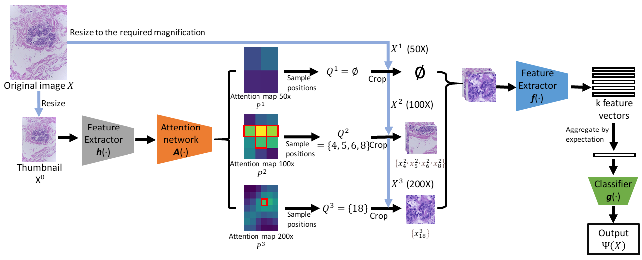 A Joint Spatial and Magnification Based Attention Framework for Large Scale Histopathology Classification