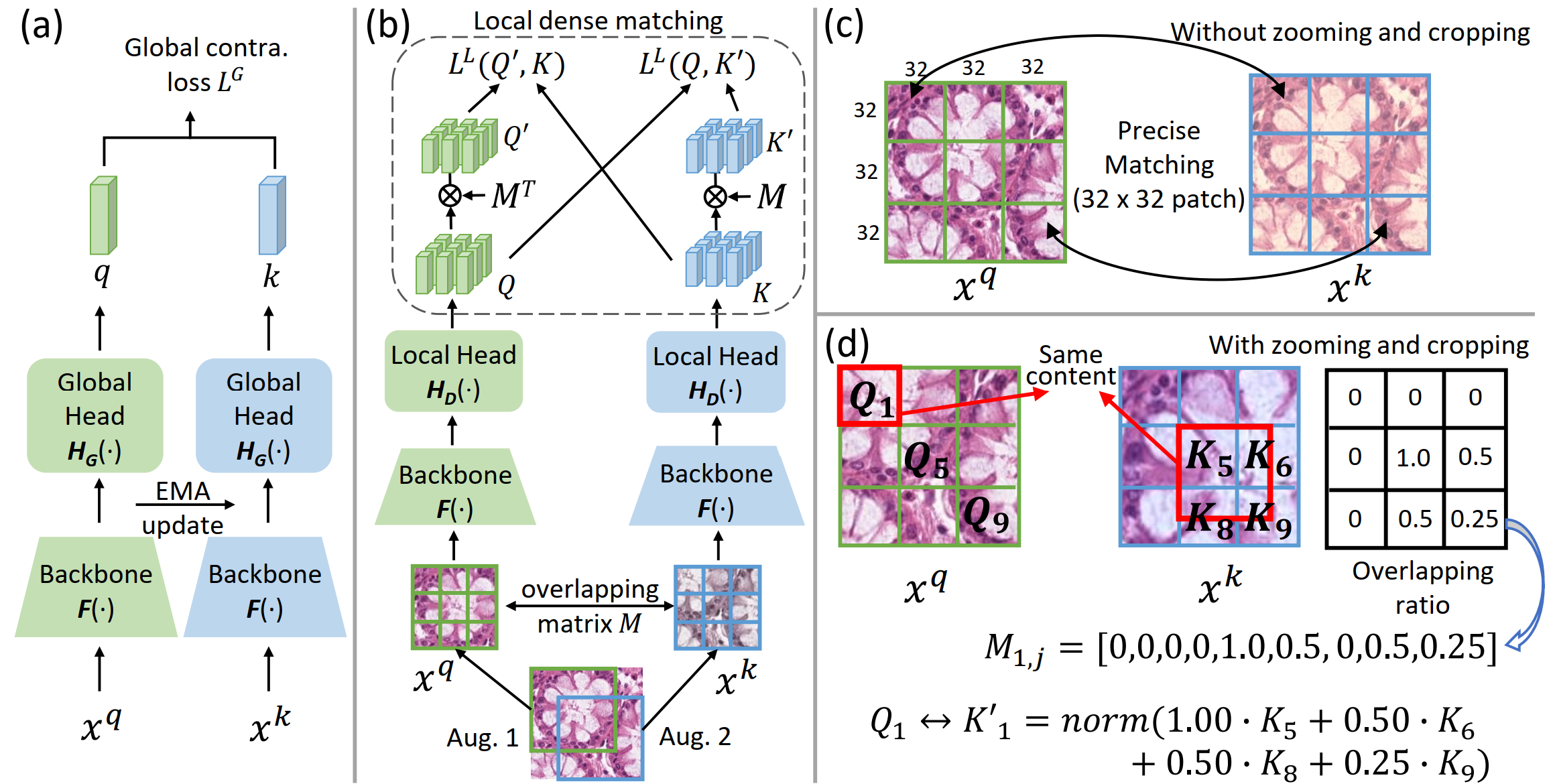 Precise Location Matching Improves Dense Contrastive Learning in Digital Pathology
