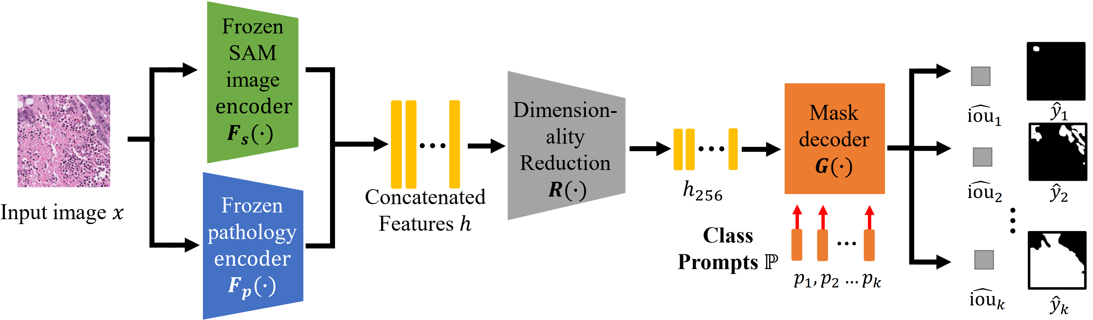 SAM-Path: A Segment Anything Model for Semantic Segmentation in Digital Pathology